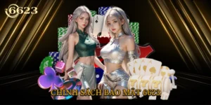 chinh-sach-bao-mat-6623