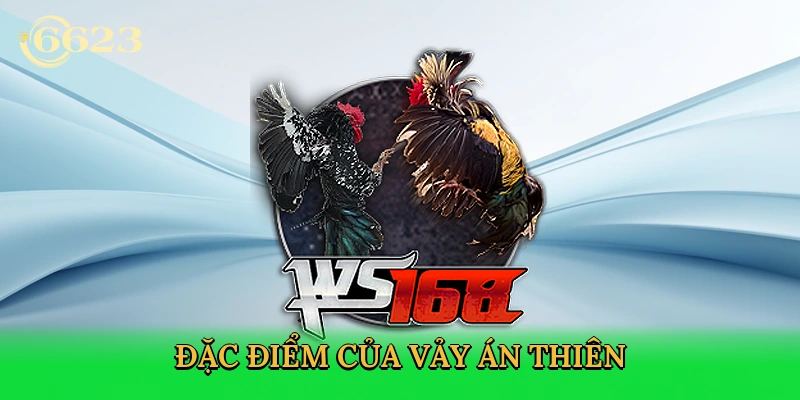 dac-diem-cua-vay-an-thien