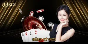 dang-ky-6623