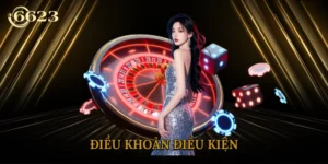 dieu-khoan-dieu-kien