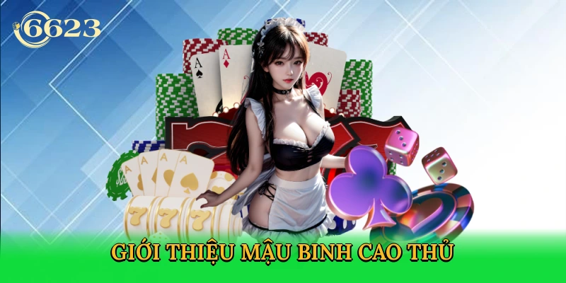 gioi-thieu-mau-binh-cao-thu
