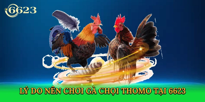 ly-do-nen-choi-ga-choi-thomo-tai-6623