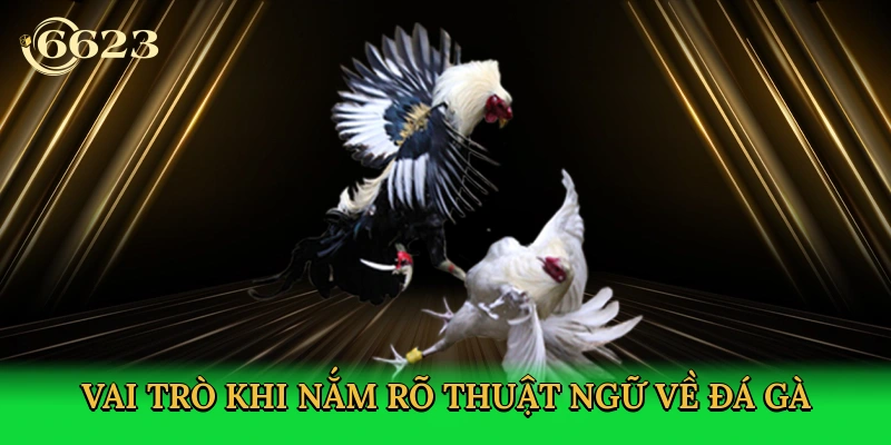 vai-tro-khi-nam-ro-thuat-ngu-ve-da-ga