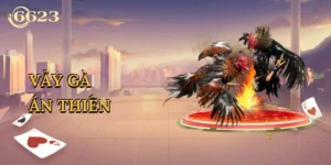 vay-ga-an-thien